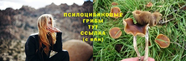 a pvp Белокуриха