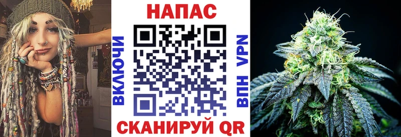 Бошки марихуана ГИДРОПОН  KRAKEN маркетплейс  Макаров 